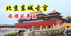 自慰高清国产一线捅逼中国北京-东城古宫旅游风景区